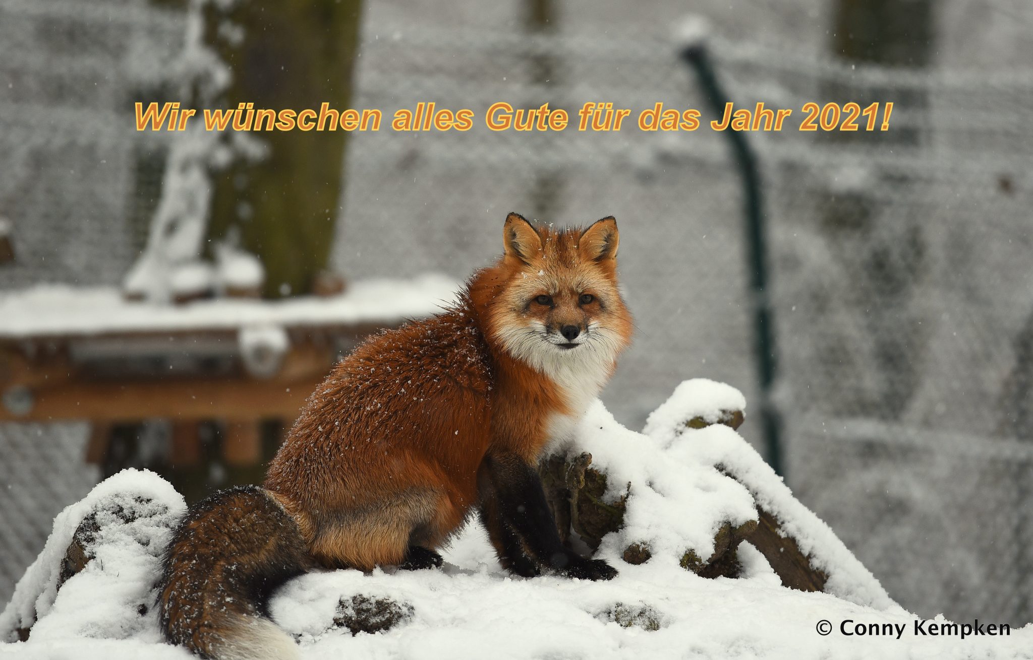 tier und pflanzenpark fasanerie wiesbaden